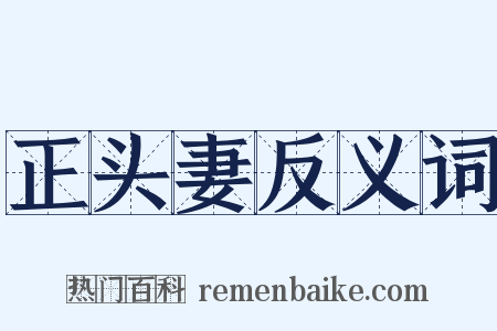 正头妻反义词是什么意思的图片